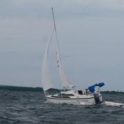 Early bird winners announced!!