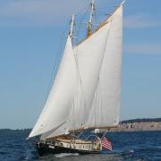 Start Your Summer Sailing Newsletter