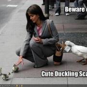 No really, is this a scam? 