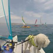 Hobie Islands Celebrate Summer Sailstice