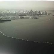 America's Cup sponsors "Healthy Ocean's Clean Up" on Summer Sailstice