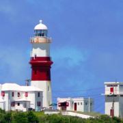 Double Duty for Pantaenius Tracking in the Bermuda Race