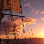 Recent Boats Joining the Summer Sailstice Celebration