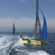 Wetas Come out for Sailstice